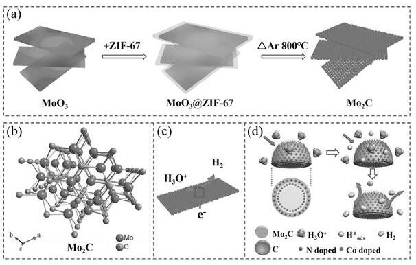 1D或2D多孔Mo2C納米結(jié)構(gòu)的合成與產(chǎn)氫應(yīng)用